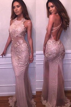 Backless Lace Long Prom Dresses Party Evening Gowns 3020259
