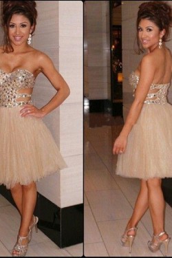 Short Beaded Tulle Homecoming Cocktail Prom Dresses Party Evening Gowns 3020545