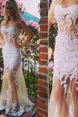 Sexy Lace Appliques Long Prom Formal Evening Party Dresses 3020777