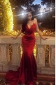 Sexy Mermaid V-Neck Lace Long Prom Dress Formal Evening Dresses 601389