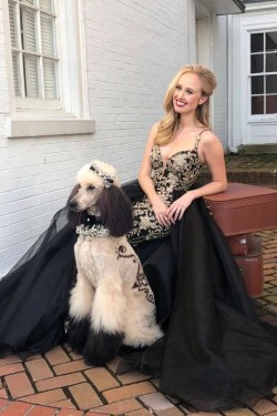 Long Black Lace Prom Dress Formal Evening Dresses 601530