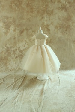 Ball Gown Flower Girl Dresses F010027
