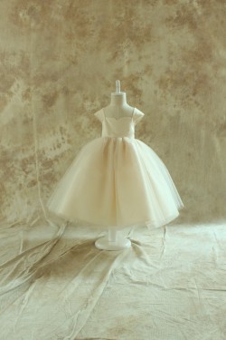 Ball Gown Flower Girl Dresses F010027