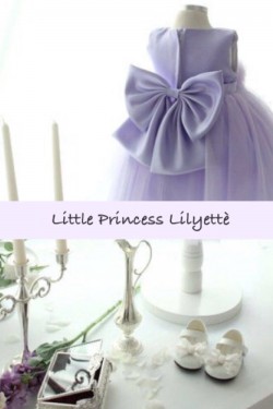 Ball Gown Flower Girl Dresses F010028