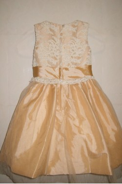 Ball Gown Lace and Tulle Flower Girl Dresses F010029