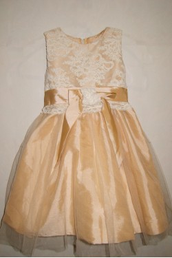 Ball Gown Lace and Tulle Flower Girl Dresses F010029