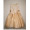 Ball Gown Lace and Tulle Flower Girl Dresses F010029