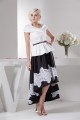 Asymmetrical A-Line Taffeta Lace Applique Mother of the Bride Dresses 2040109