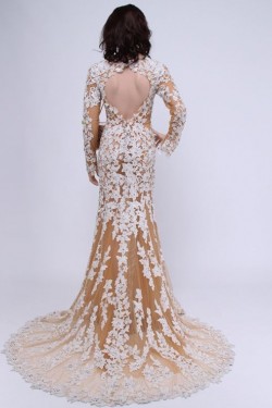 Trumpet/Mermaid Long Sleeves Lace Bridal Wedding Dresses WD010155