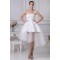 Short/Mini Applique Tulle Bridal Wedding Dress WD010252