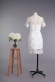 Sheath Short V-neck Short Sleeves Beaded Lace Bridal Wedding Dresses WD010421 Sheath Short V-neck Short Sleeves Beaded Lace Bridal Wedding Dresses WD010421
