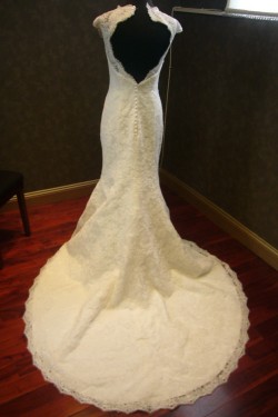 Trumpet/Mermaid Lace Bridal Wedding Dresses WD010539