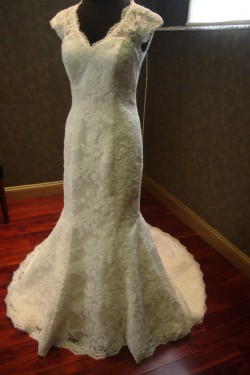 Trumpet/Mermaid Lace Bridal Wedding Dresses WD010539