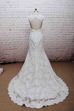 Trumpet/Mermaid V-neck Lace Bridal Wedding Dresses WD010659