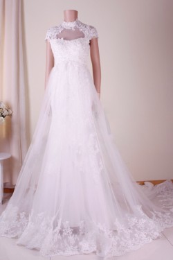 Trumpet/Mermaid Lace Bridal Gown Wedding Dress WD010768