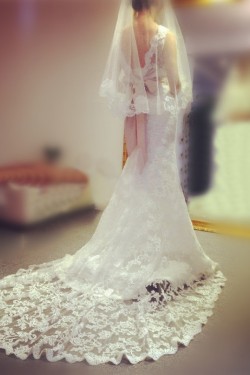 Trumpet/Mermaid Lace Bridal Gown Wedding Dress WD010774