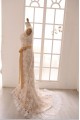 Trumpet/Mermaid Lace Bridal Gown Wedding Dress WD010790