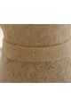 Trumpet/Mermaid Lace Bridal Gown Wedding Dress WD010796 Trumpet/Mermaid Lace Bridal Gown Wedding Dress WD010796