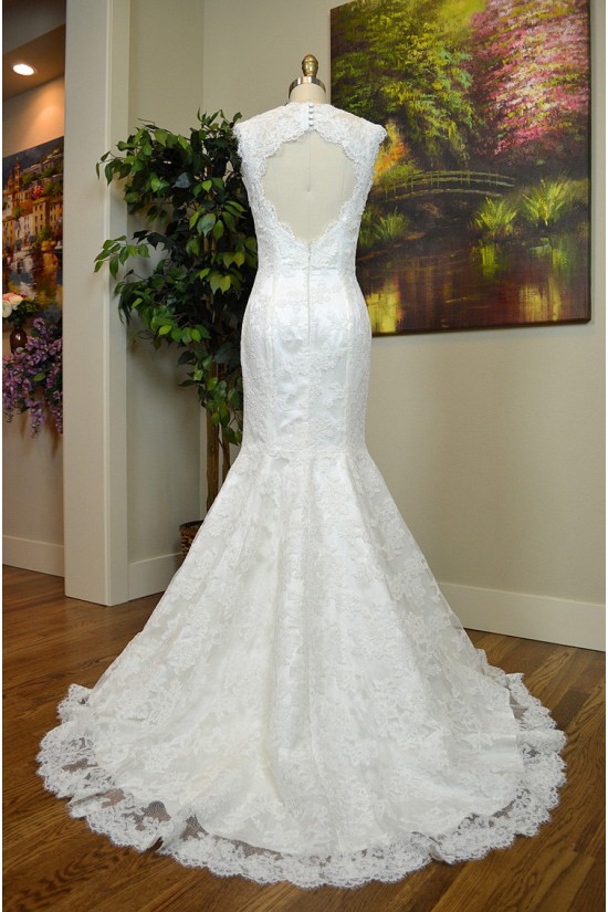 Trumpet/Mermaid V-neck Lace Bridal Gown Wedding Dress WD010797