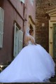 Long Sleeves Sheer Crystal Wedding Dresses Bridal Gowns 3030033