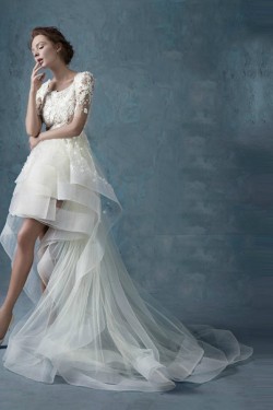 High Low Short Sleeves Lace Tulle Wedding Dresses Bridal Gowns 3030173
