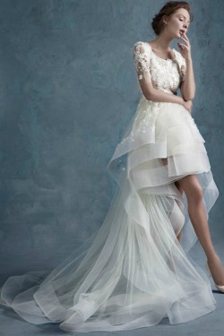 High Low Short Sleeves Lace Tulle Wedding Dresses Bridal Gowns 3030173