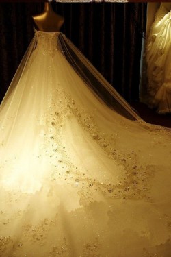 Sparkly Lace Ball Gown Crystal Wedding Dresses Bridal Gowns 3030194