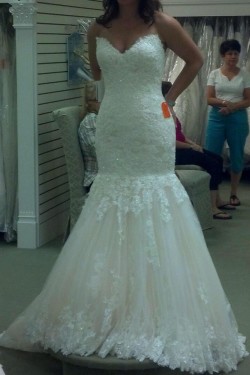 Mermaid Sweetheart Plus Size Lace Wedding Dresses Bridal Gowns 3030279